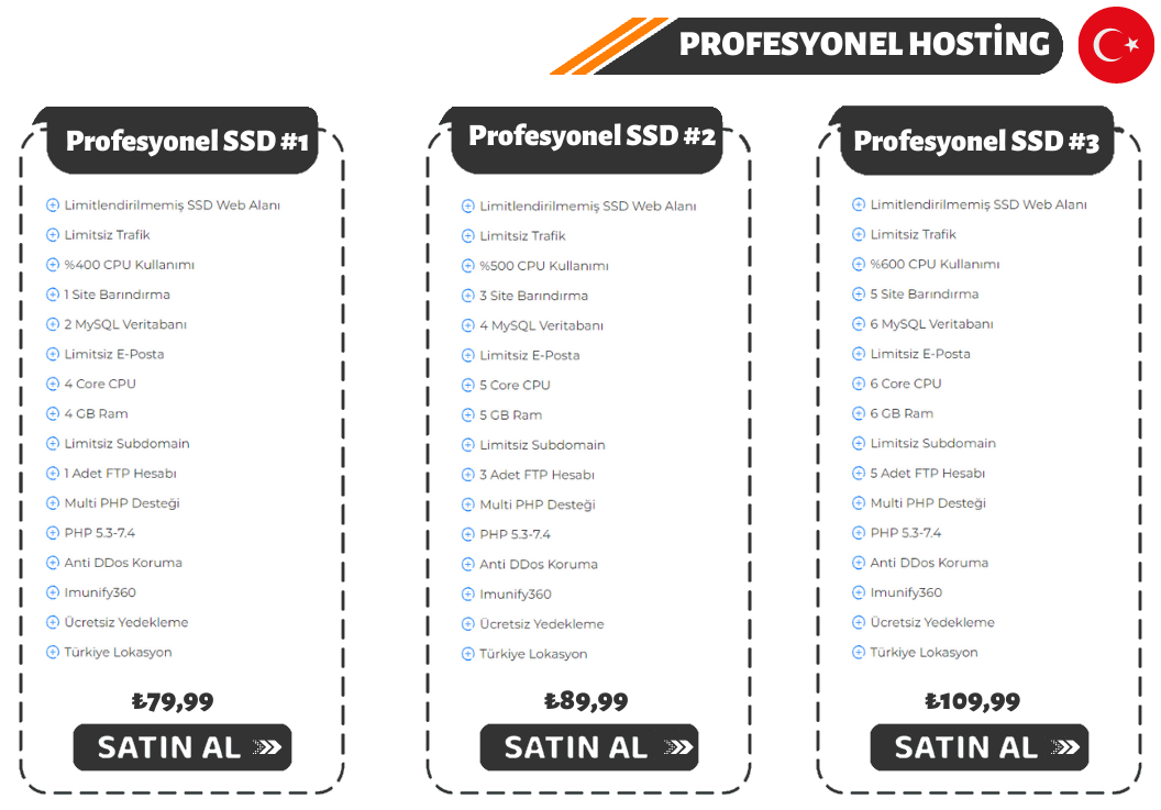 Profesyonel Hosting Paketleri